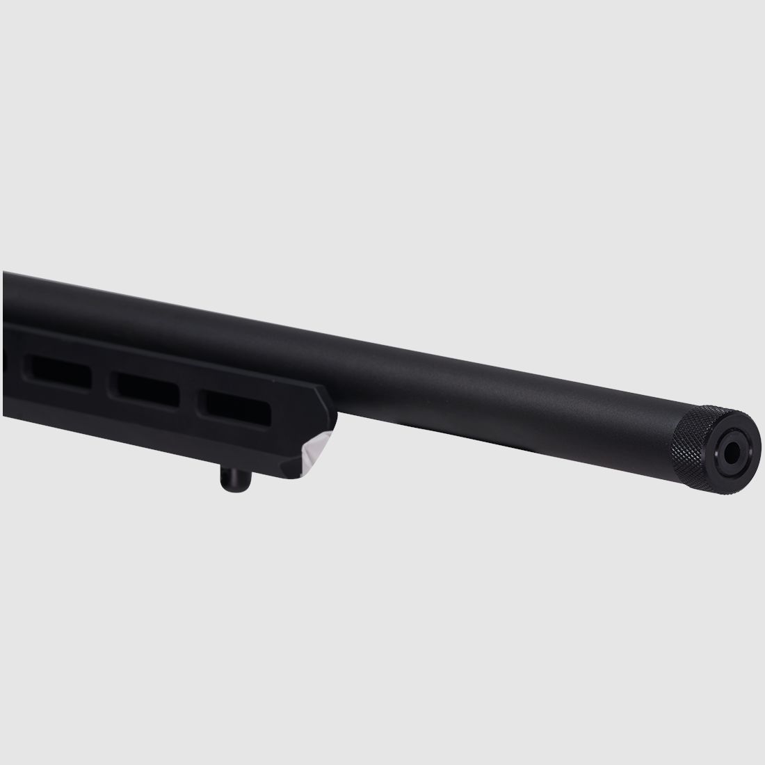Savage Firearms B22 Precision 18"/46cm .22 LR Repeating Rifle