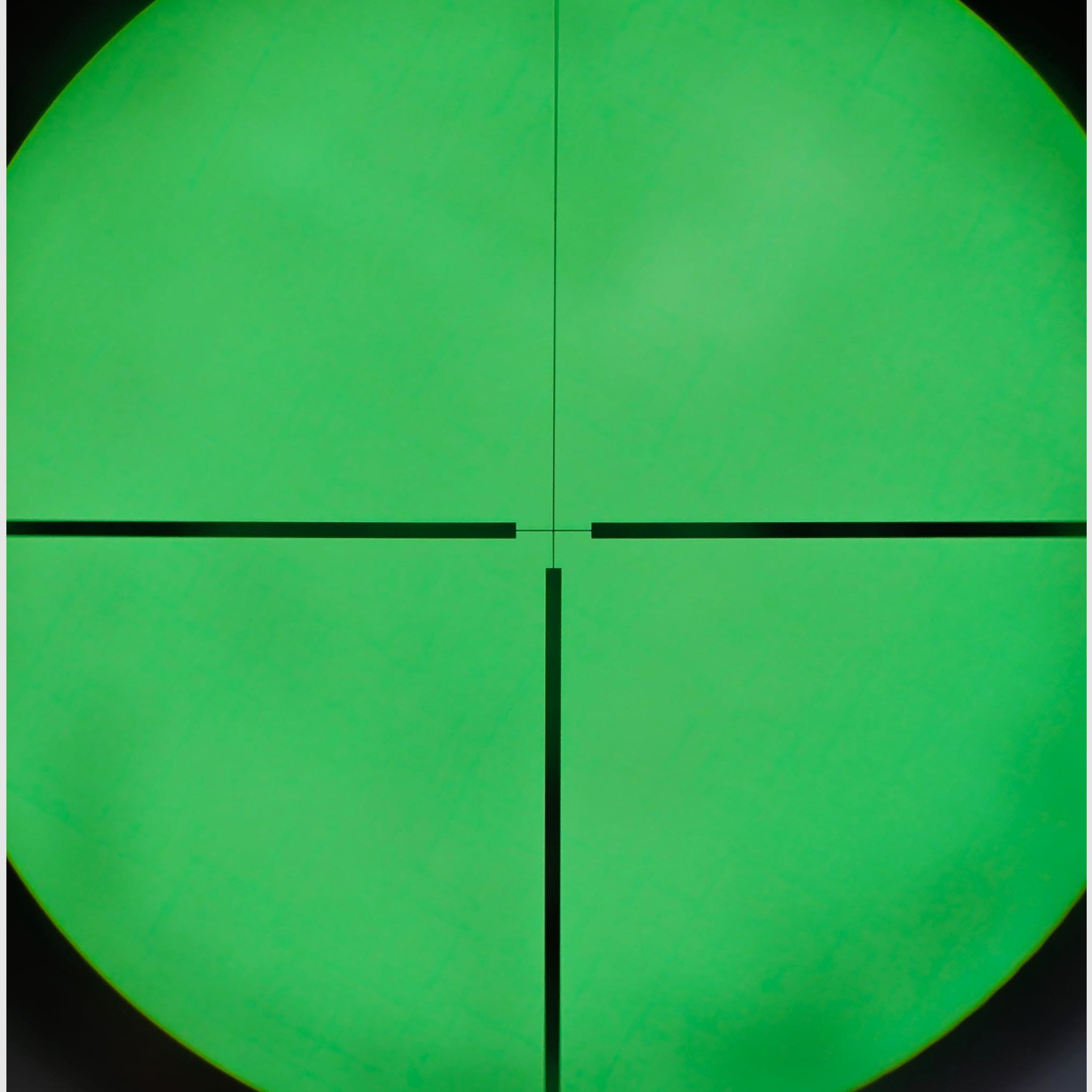 Steyr Mannlicher mod. L 5,6x57 / Zeiss Diavari 2,5-10x56