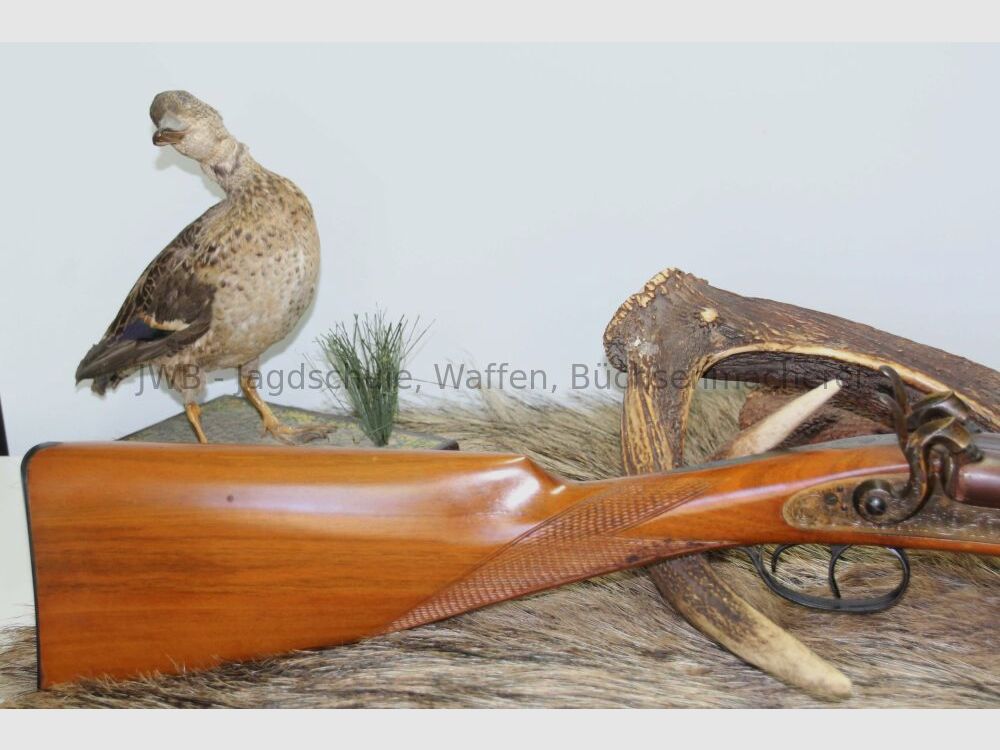Fusil à double percussion Pedersoli 12 (Poudre Noire)