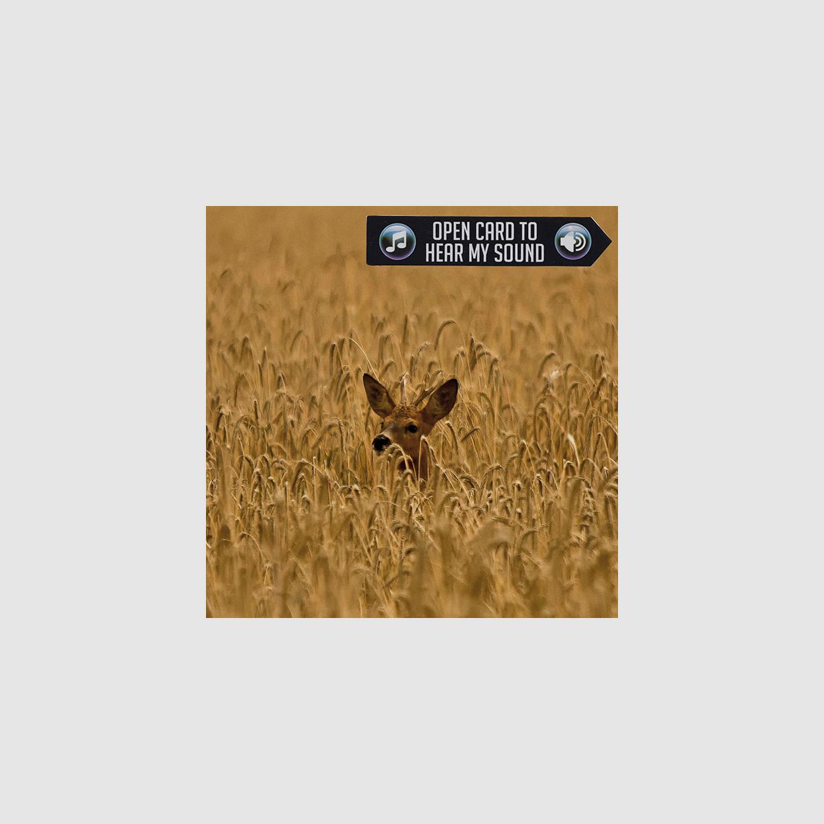 Tarjeta de saludo ciervo