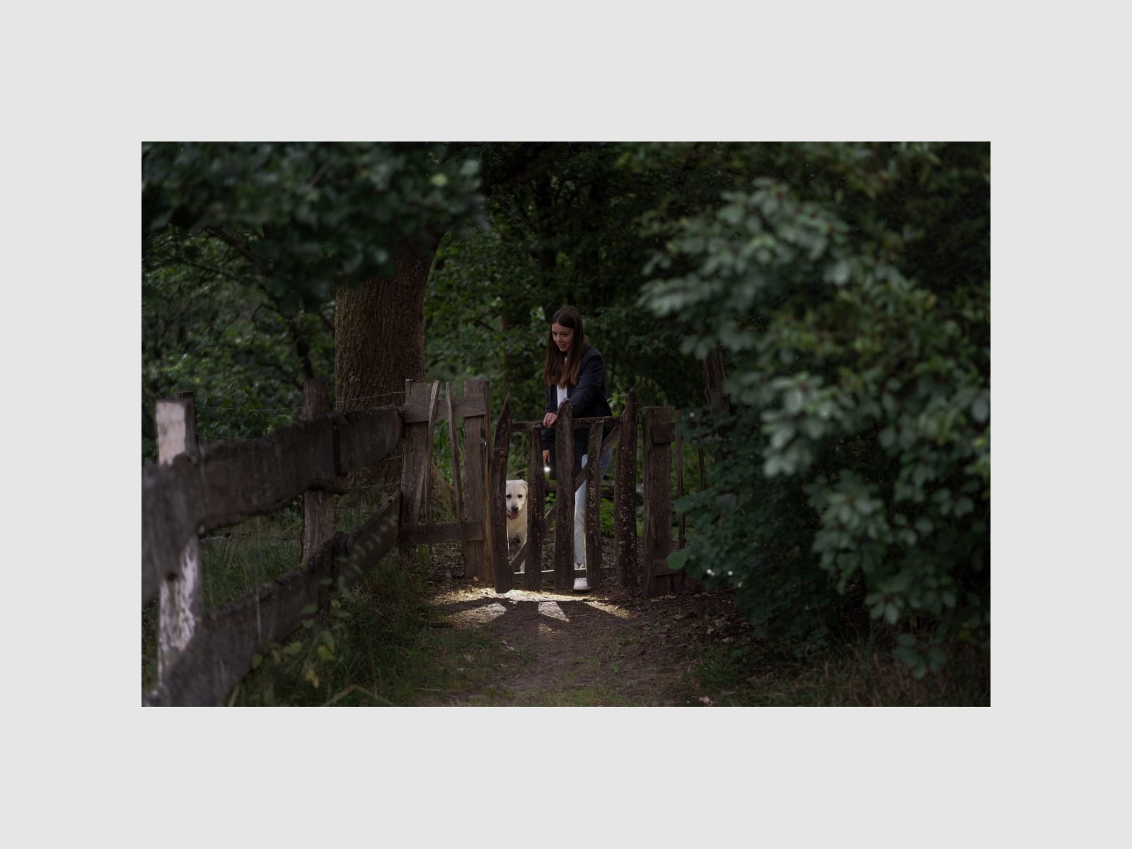 LEDLENSER Taschenlampe P5R Core