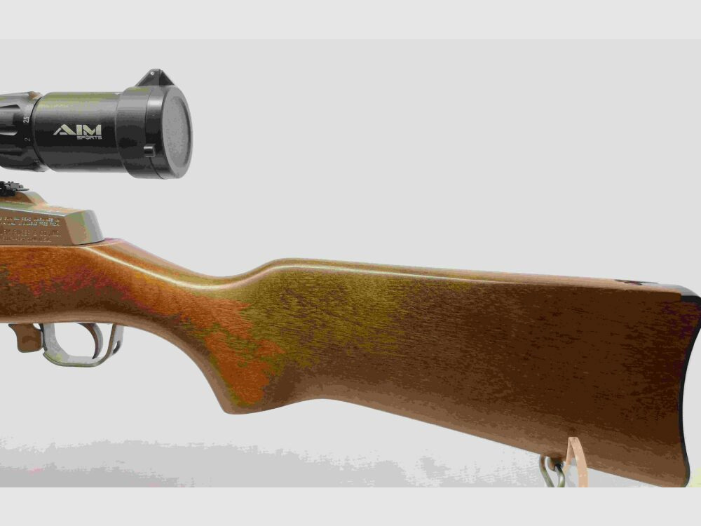 Ruger Ranch Rifle Mini 14