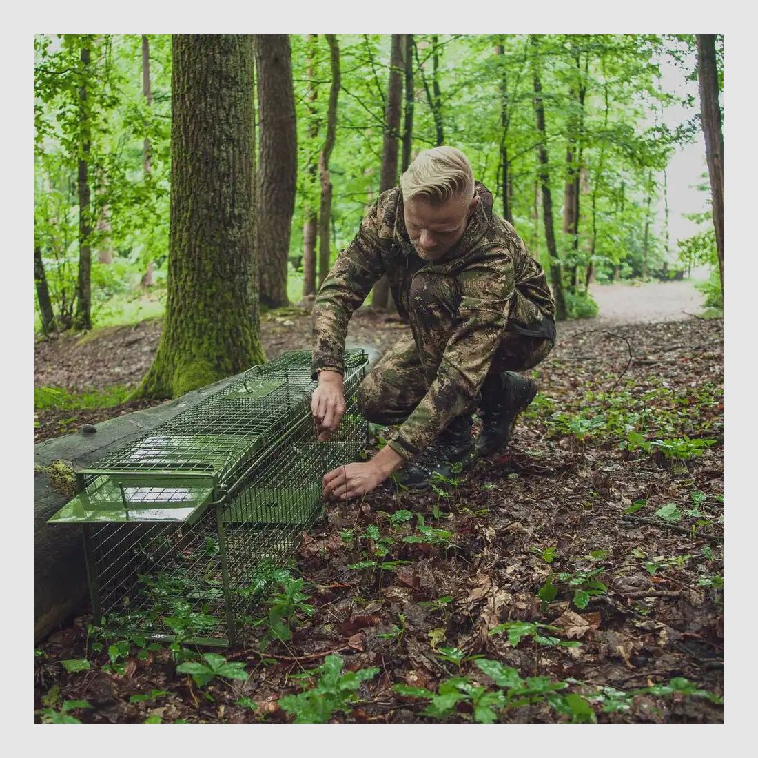 Falle Falle Lebendfang – zwei Klapptüren