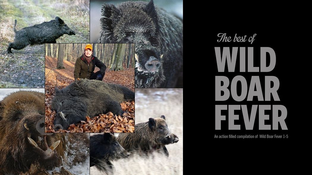 THE BEST OF WILD BOAR FEVER PT. 2