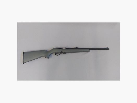 Remington 597 .22LR