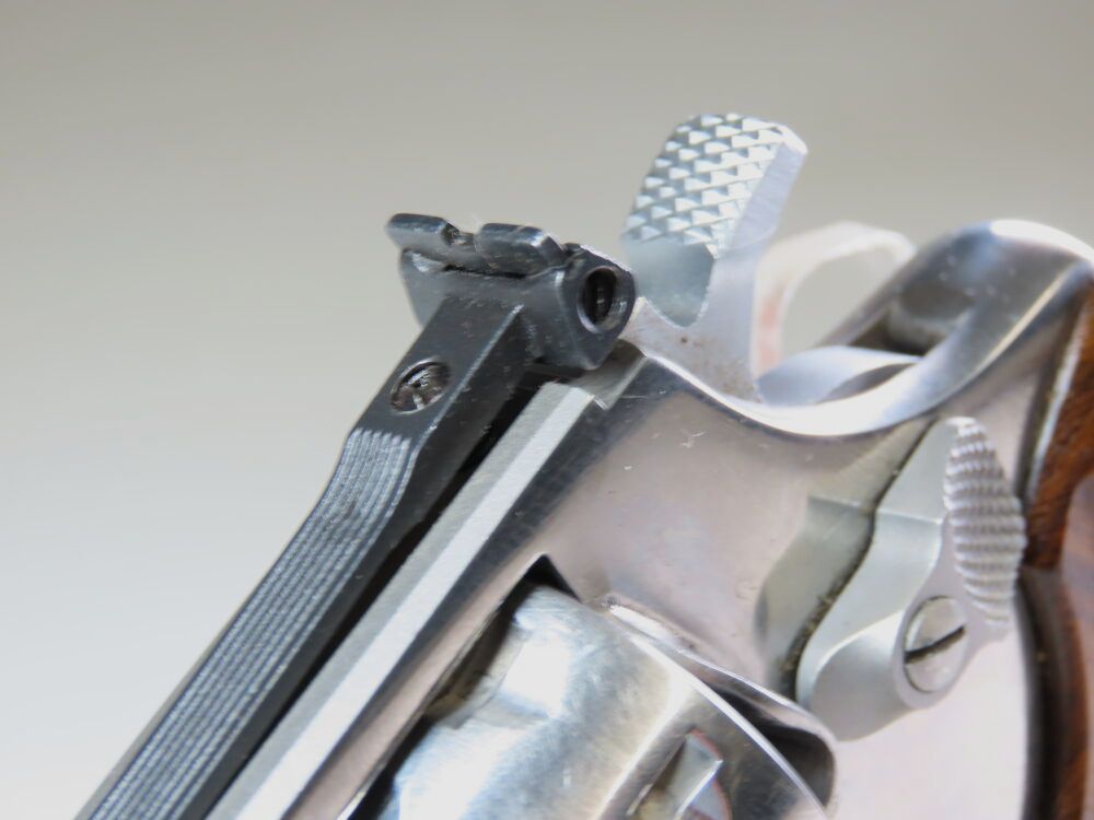 Taurus 94 in Stainless incl. Holster!