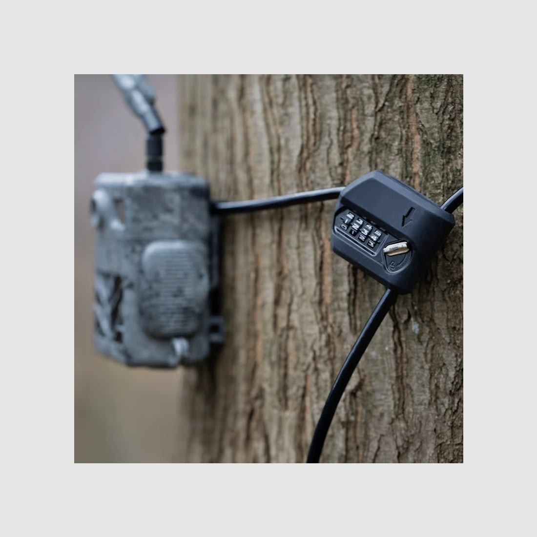 Sicherheitskabel ZEISS LOCK mit Code für Secacam, Bild 5 von 8