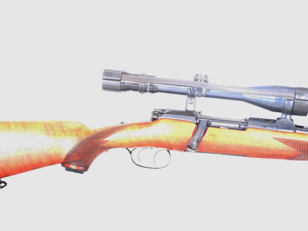 Steyr Steyr-Mannlicher GK
