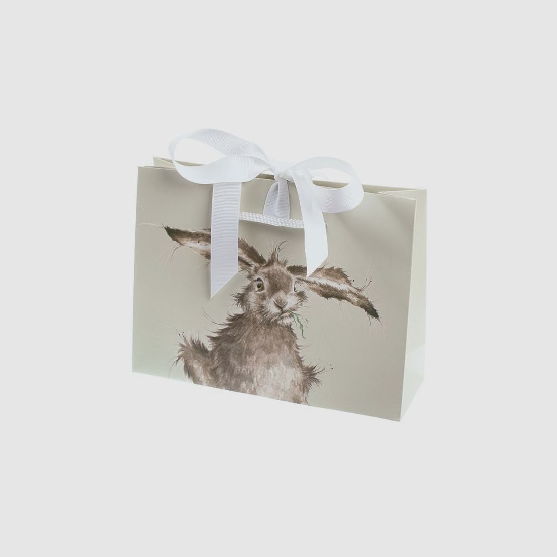 Wrendale Herren - Socken "Bright Eyed and Bushy Tailed" mit Fuchs