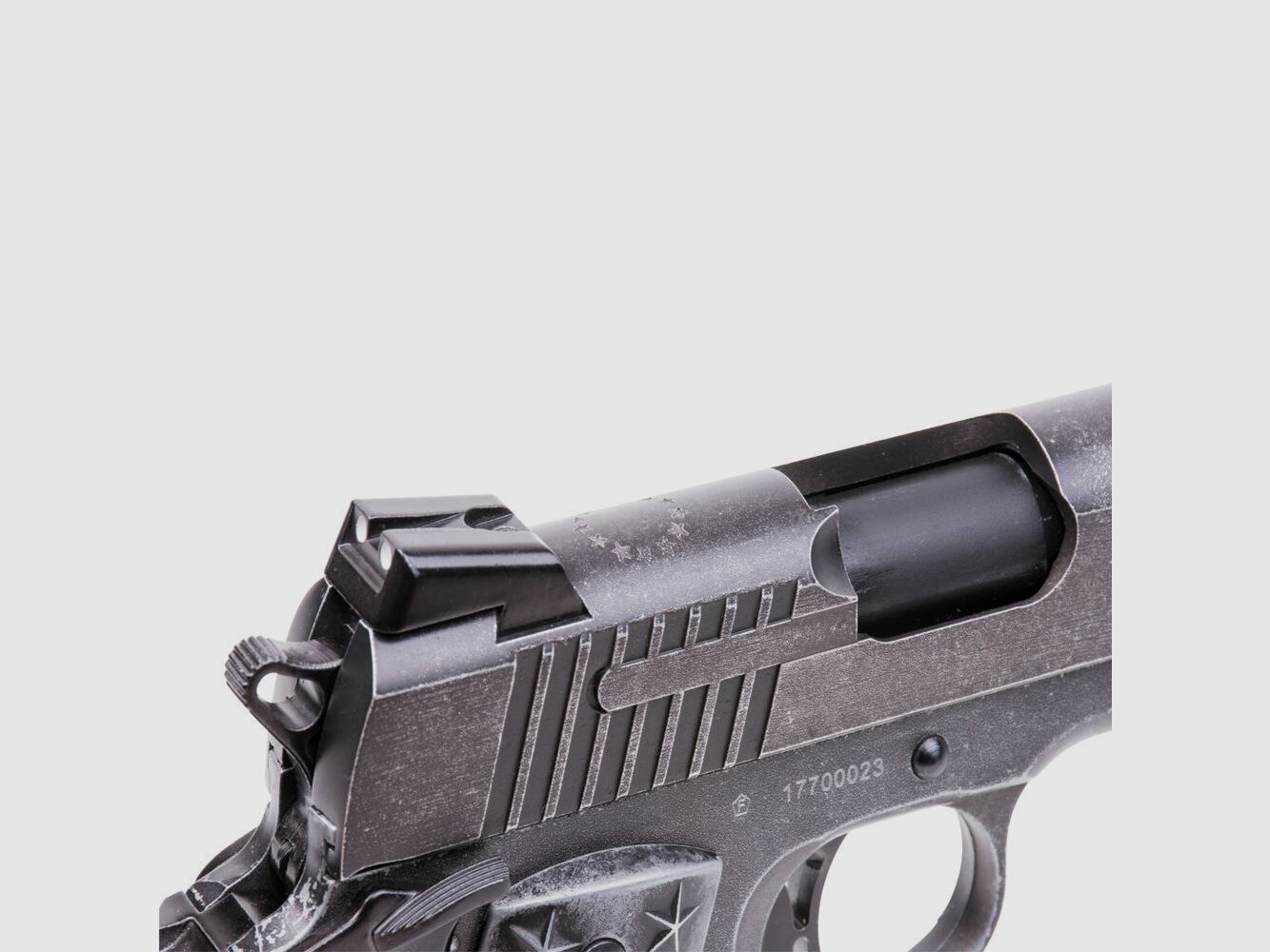 Sig Sauer Sig Sauer 1911 WTP Blow Back