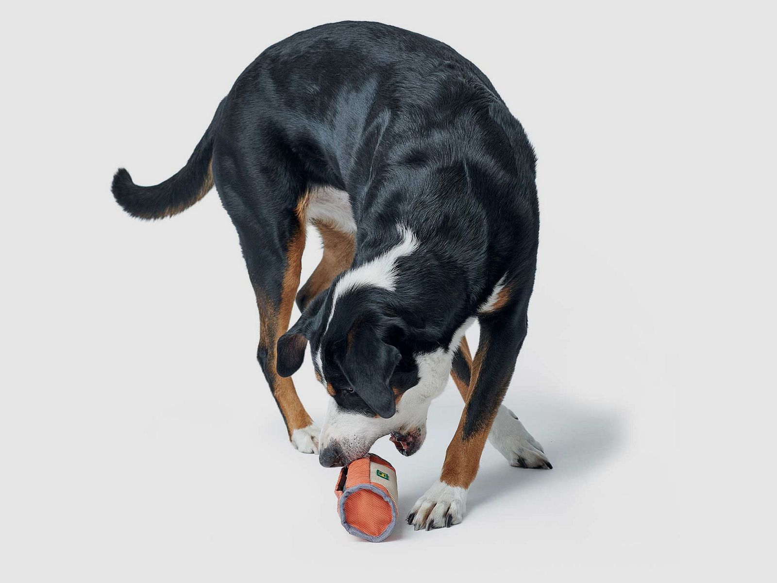 Hunter Training Snack-Dummy Tough Pombas