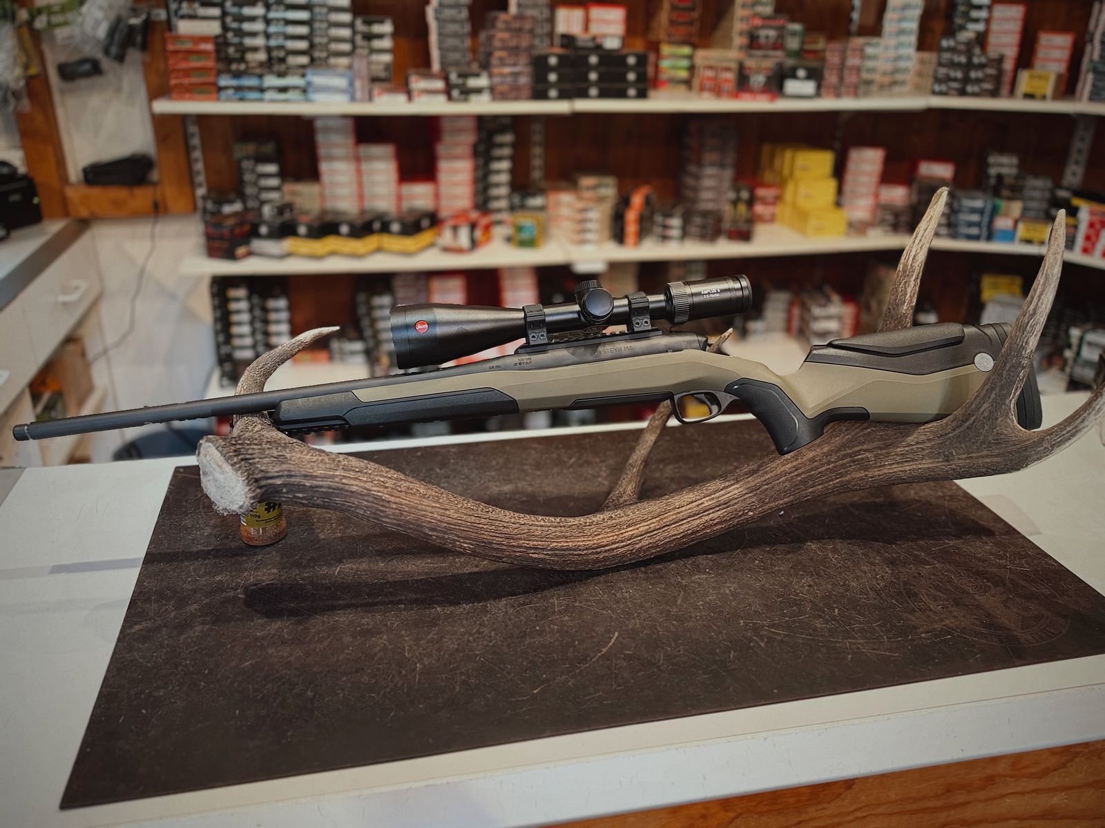 Steyr MS Wild - .308Win - Leica Amplus 2,5-15X56, Bild 1 von 9
