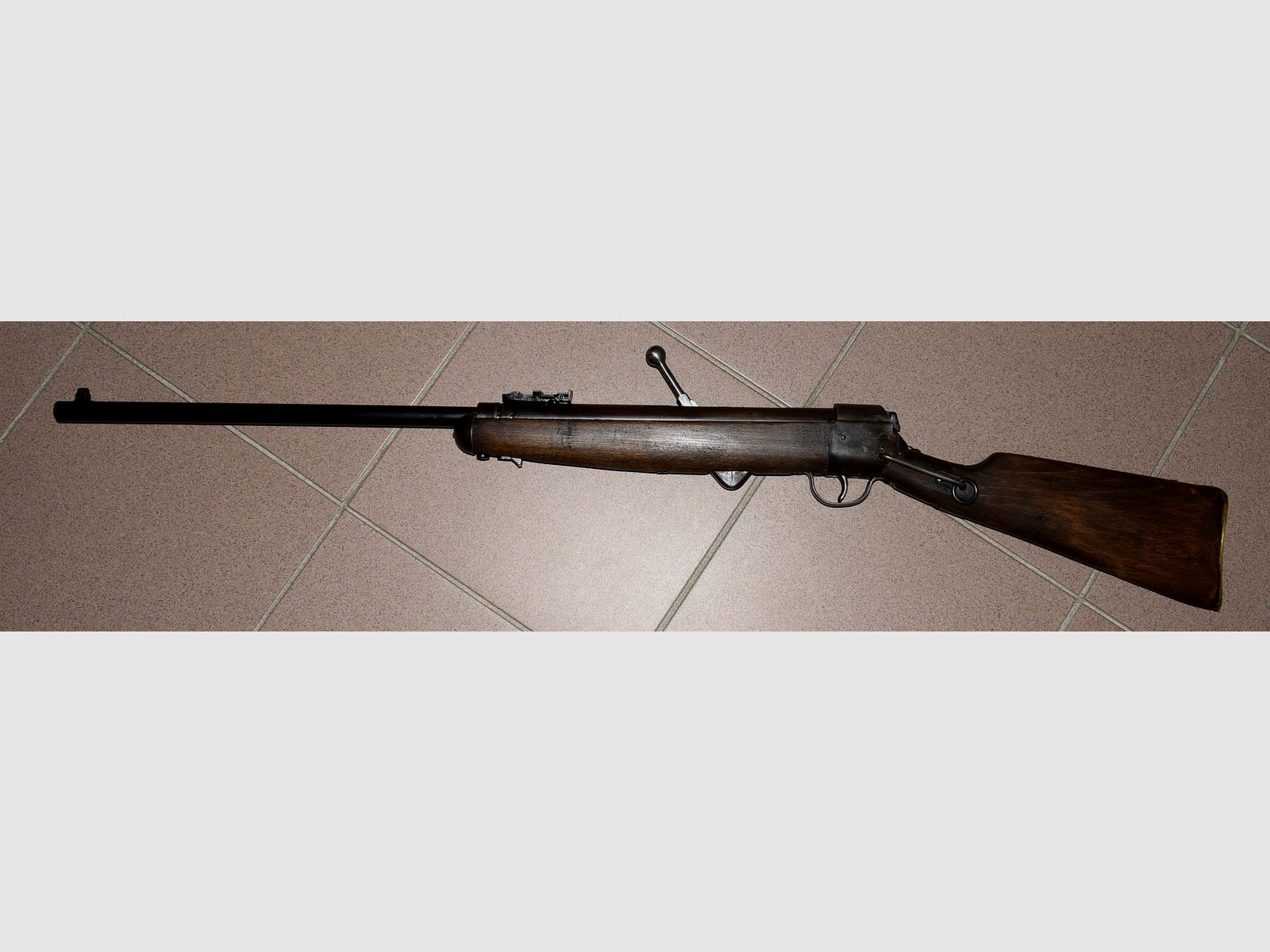 Air rifle Haenel 310 Rider carbine conversion