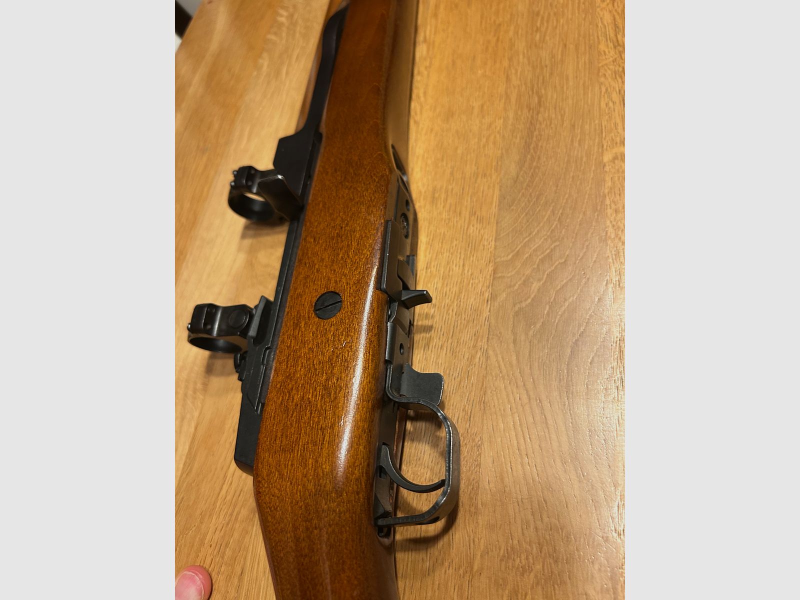 Ruger mini 14