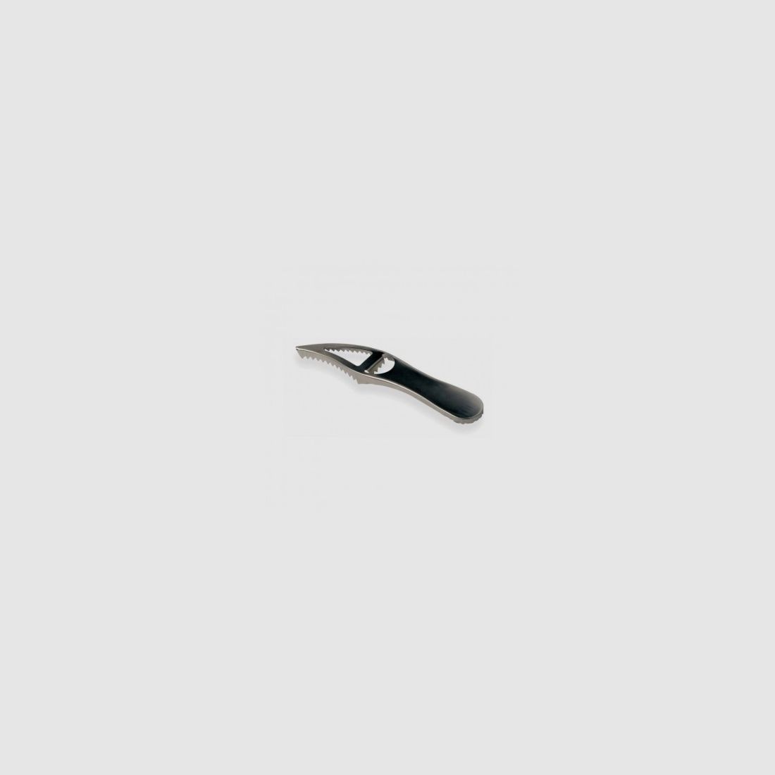 ECAILLEUR A POISSON INOX AMIAUD