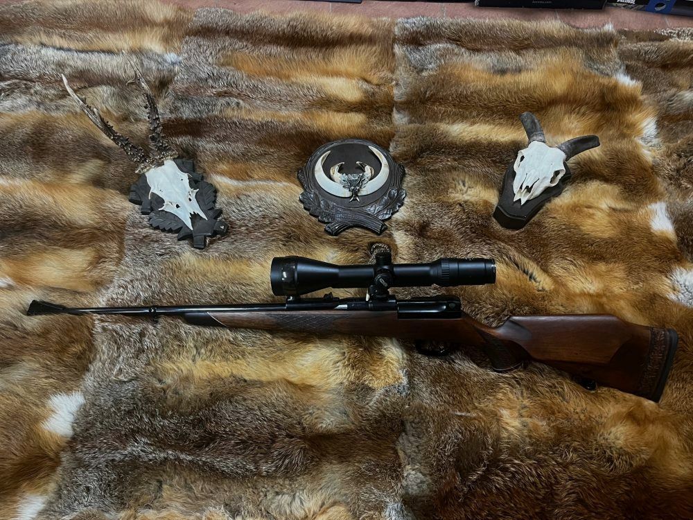 Mauser 66