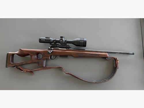 Anschütz 1771 .223 hole stock