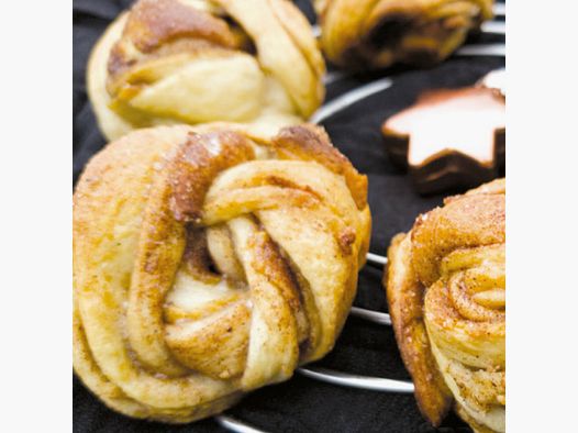 Fine Delicacies Cakes & Tarts – Recipes for the Omnia Oven – Cookbook