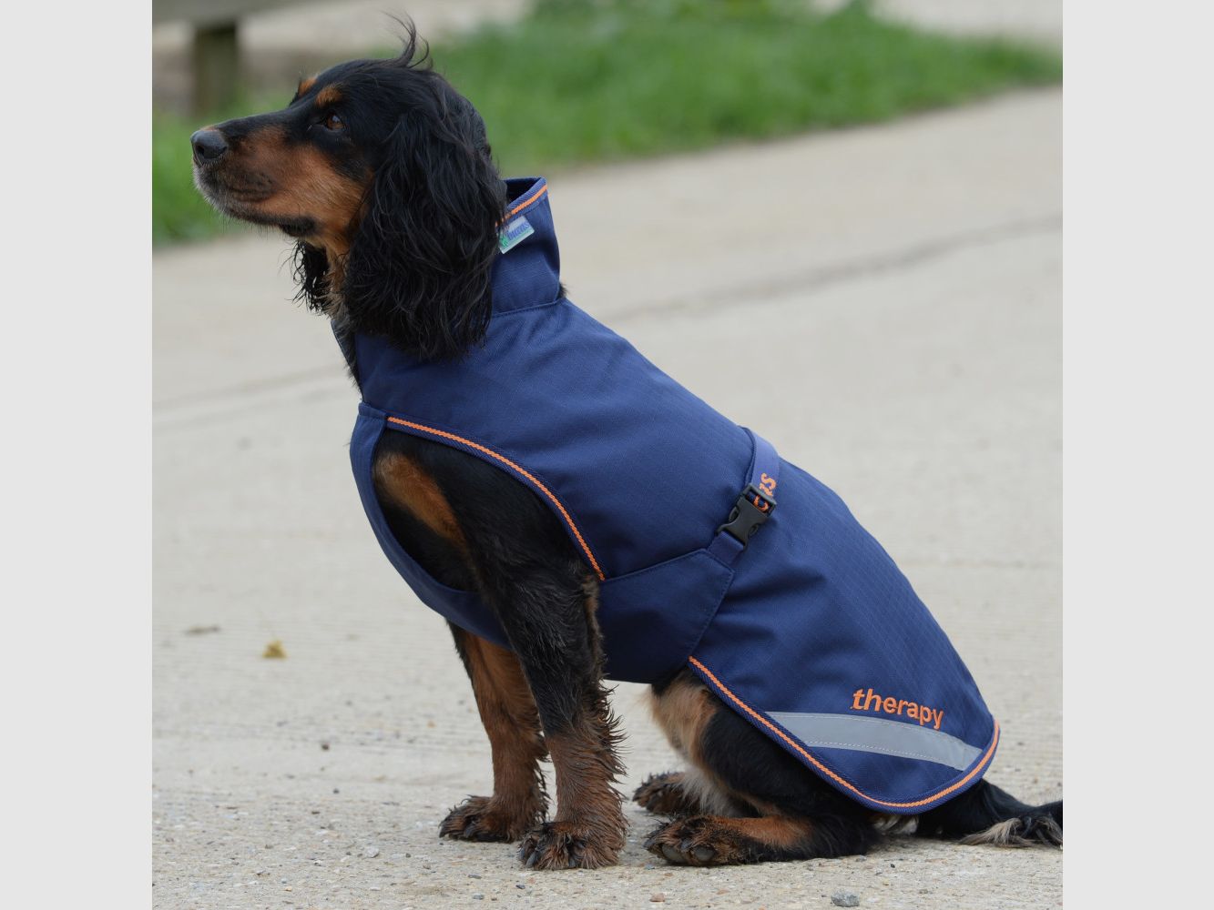 Bucas Therapy Hundedecken