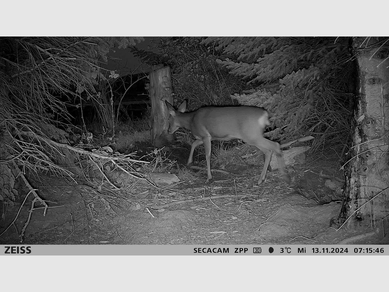 Zeiss Secacam 3 Wildcamera, afbeelding 10 van 23