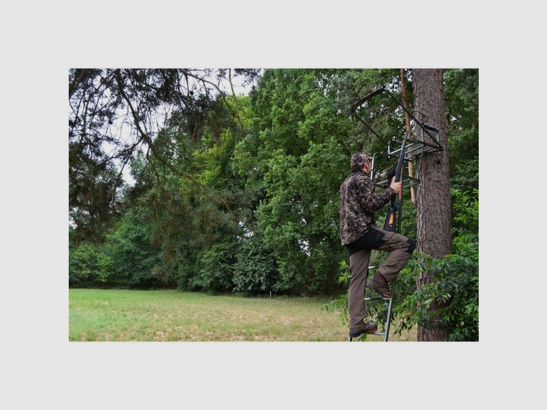 Farm-Land Ansitzleiter Wiesenblick im SPARSET a 3 Stk