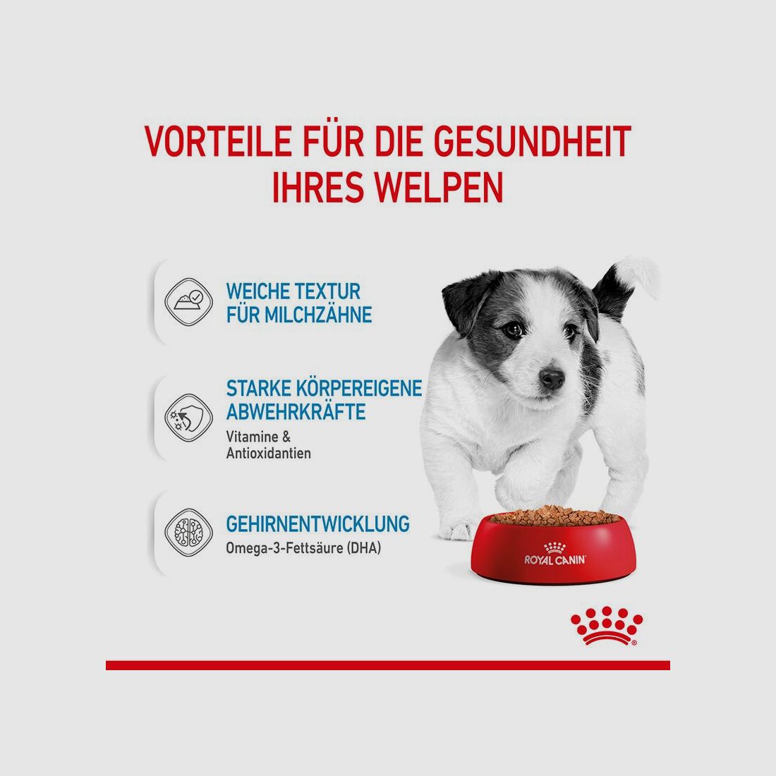 ROYAL CANIN Kleine Hunde Nassfutter Welpen bis zum 10. Monat 12x85 g