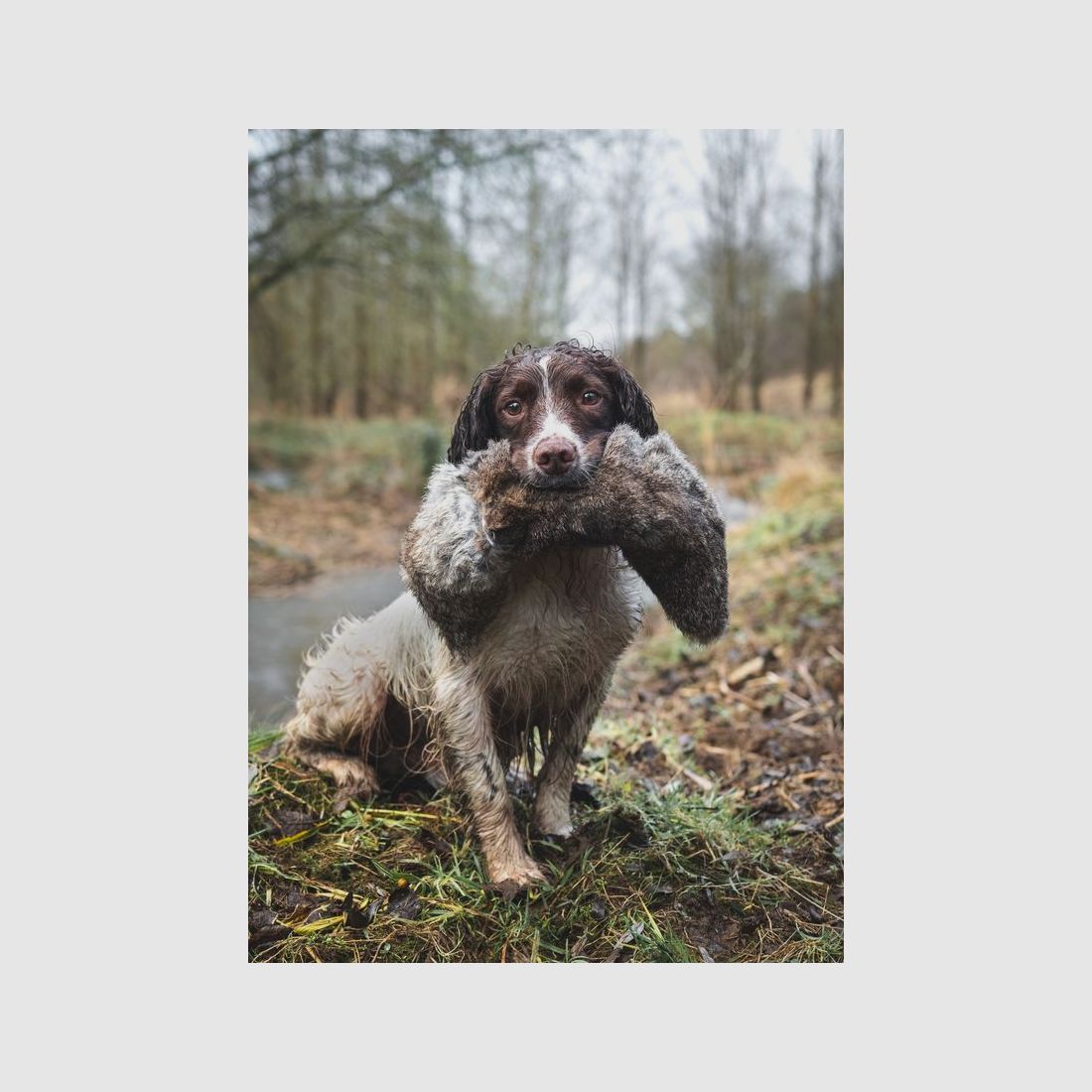 All In One Hare Dummy 1,8kg, billede 2 af 2