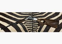 Blaser K95 Success