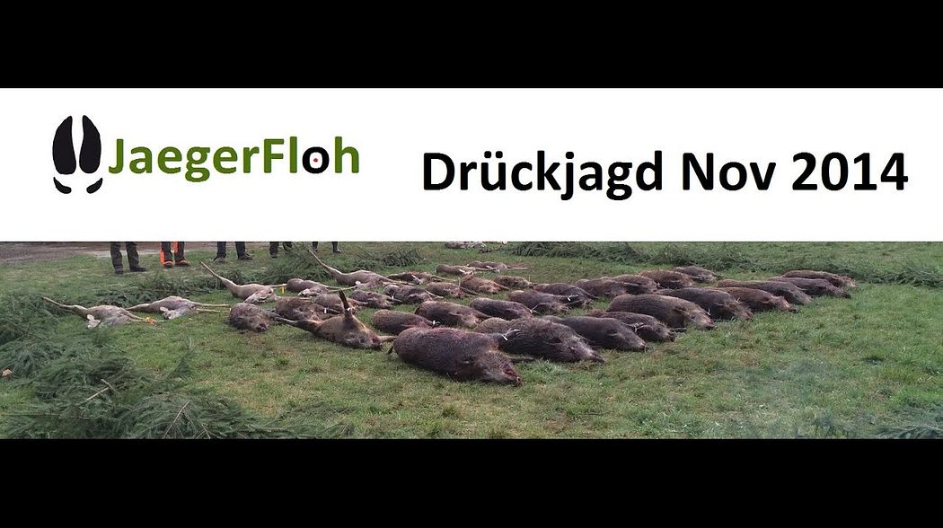 Driven Hunt/Drückjagd - 2 Jagdtage auf Schwarzwild und Rotwild im November 2014