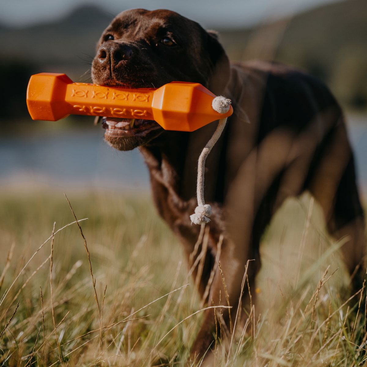 HP&G Apporteur Dummy Balance Bumper 320g Orange