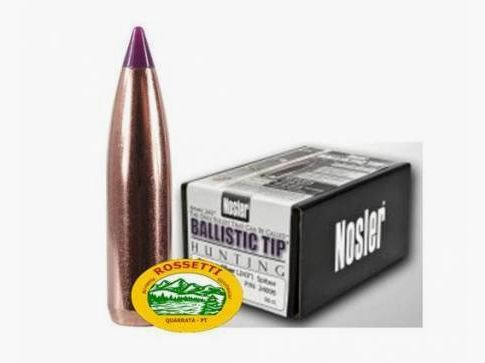 NOSLER Geschosse BALLISTIC TIP Kal.243 - 80gr 100Stk 24080