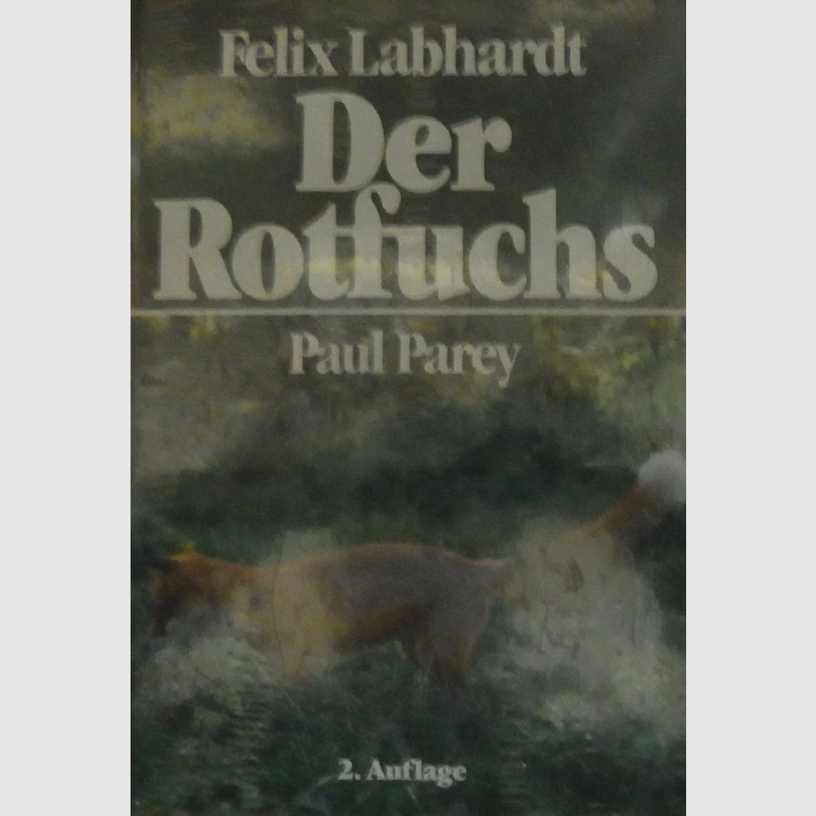 Le Renard Rouge
