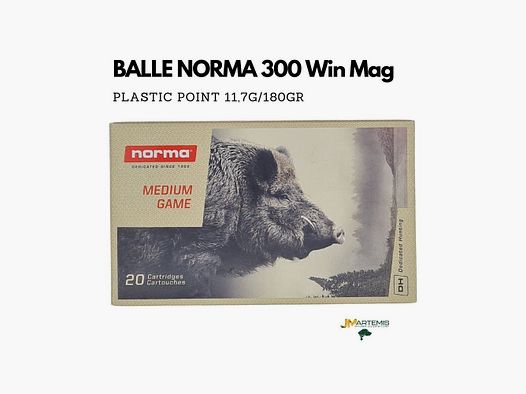 PATRÓN NORMA 300 Win Mag PLASTIC POINT 180GR