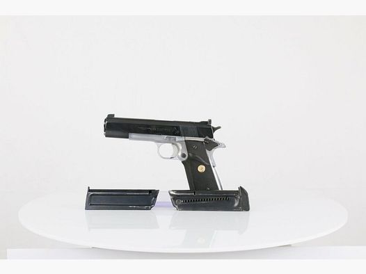Colt ACE