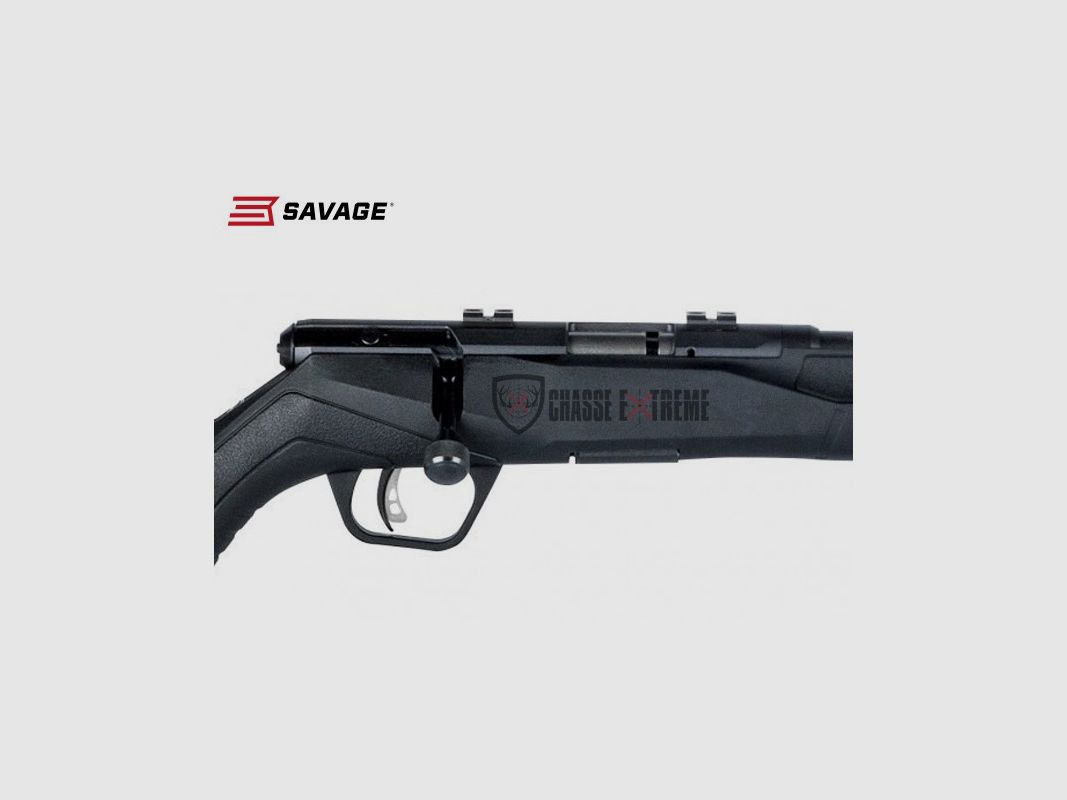 Carabine SAVAGE B17 FV 21" calibre 17 Hmr, image 2 sur 2