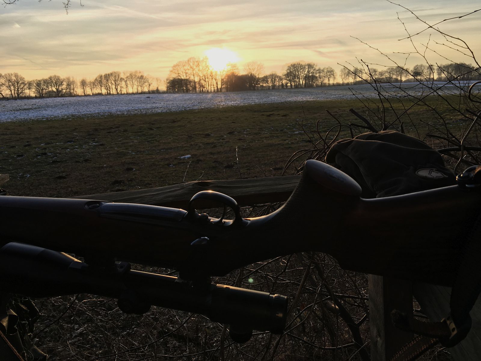 Sauer & Sohn 202 Stutzen 9,3x62 Sonderholz Schrankwaffe