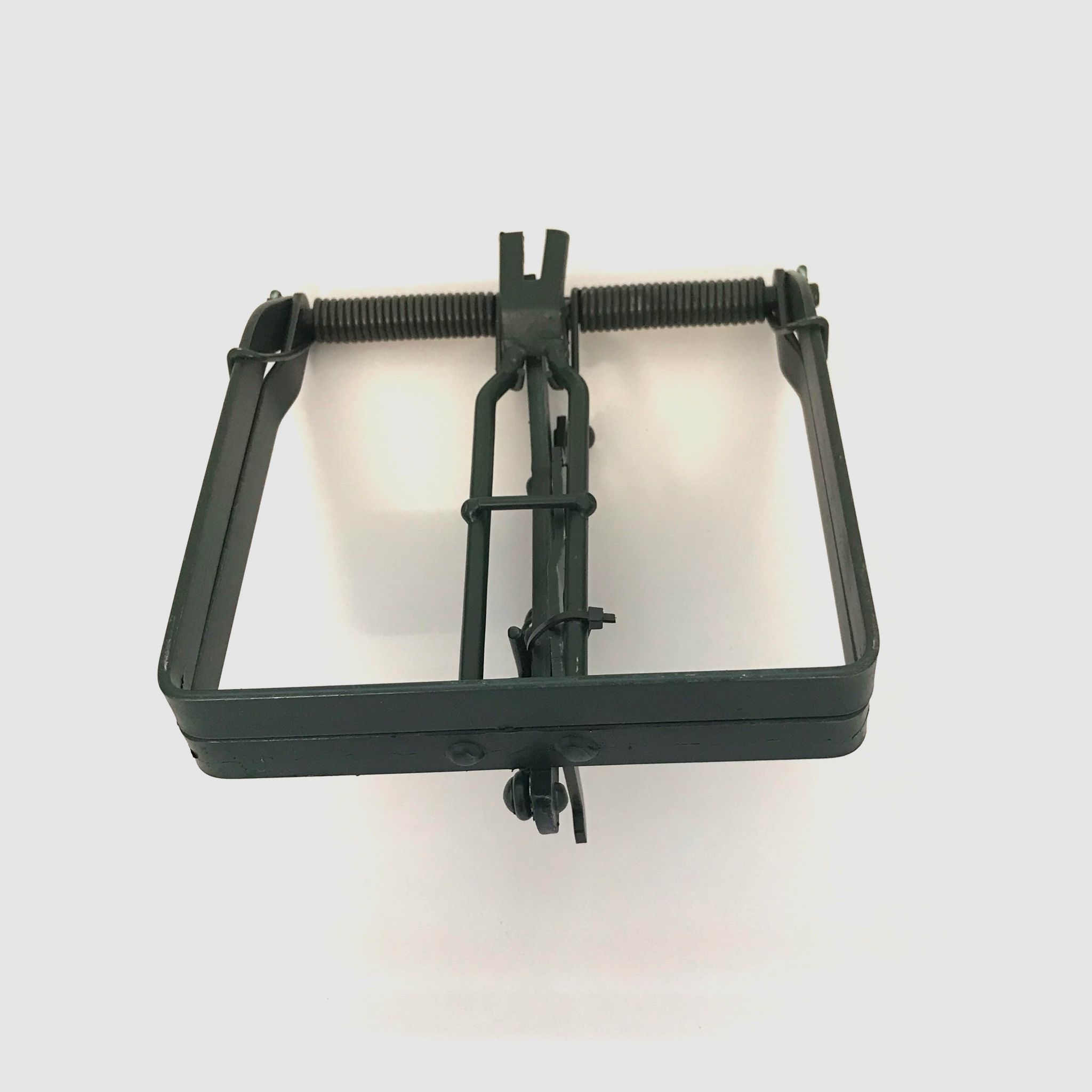 <tr>Trampa de cebos de bisón histórica</tr>