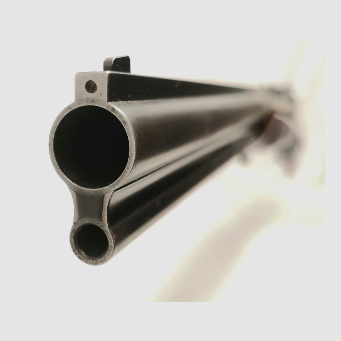 Blaser ES67