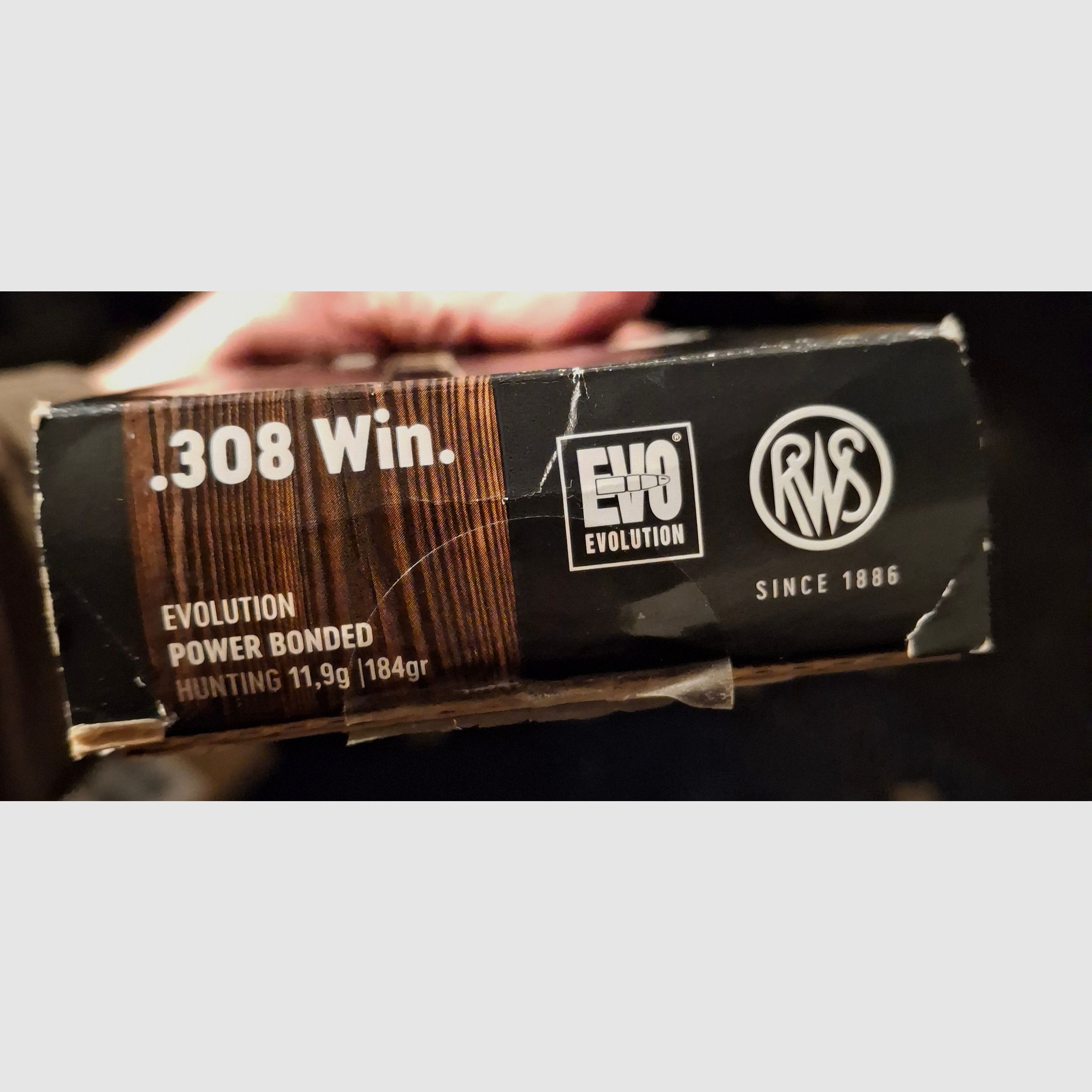 RWS .308 win. Evolution Hunting 11,9g / 184gr.