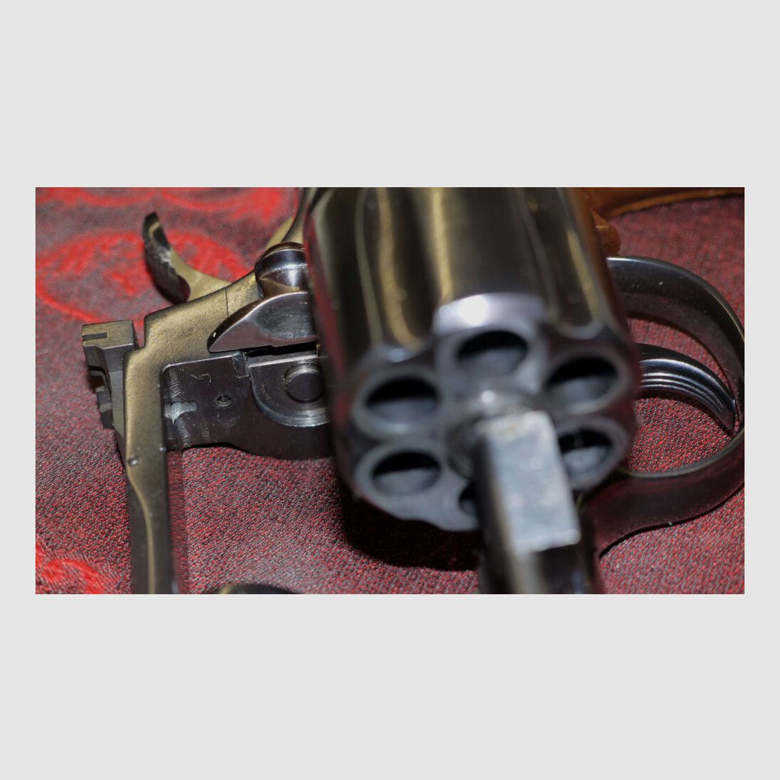 Colt Python