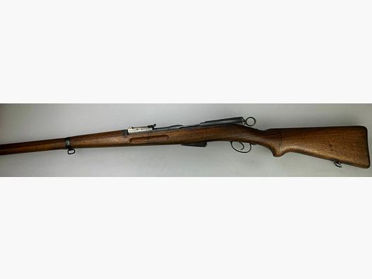 Schmidt Rubin G11