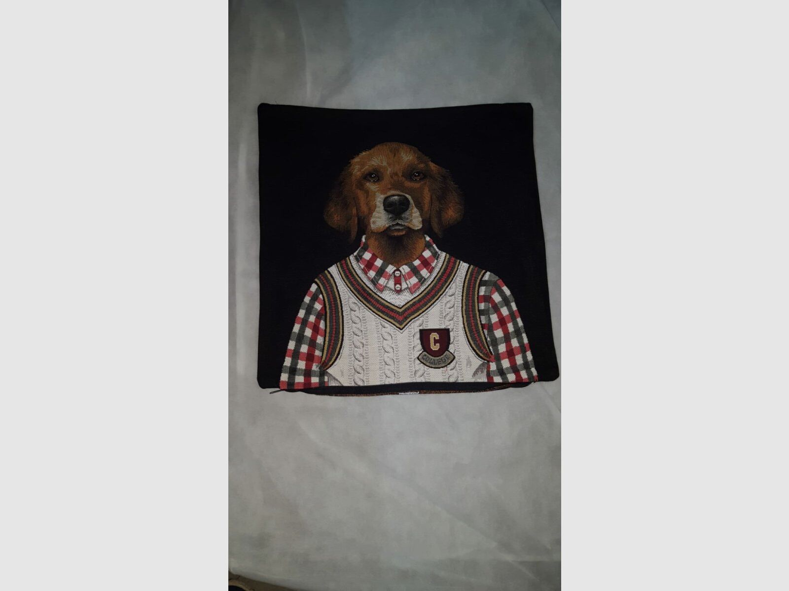 Cuscino Lovergreen Motivo Cuscino Griffon College