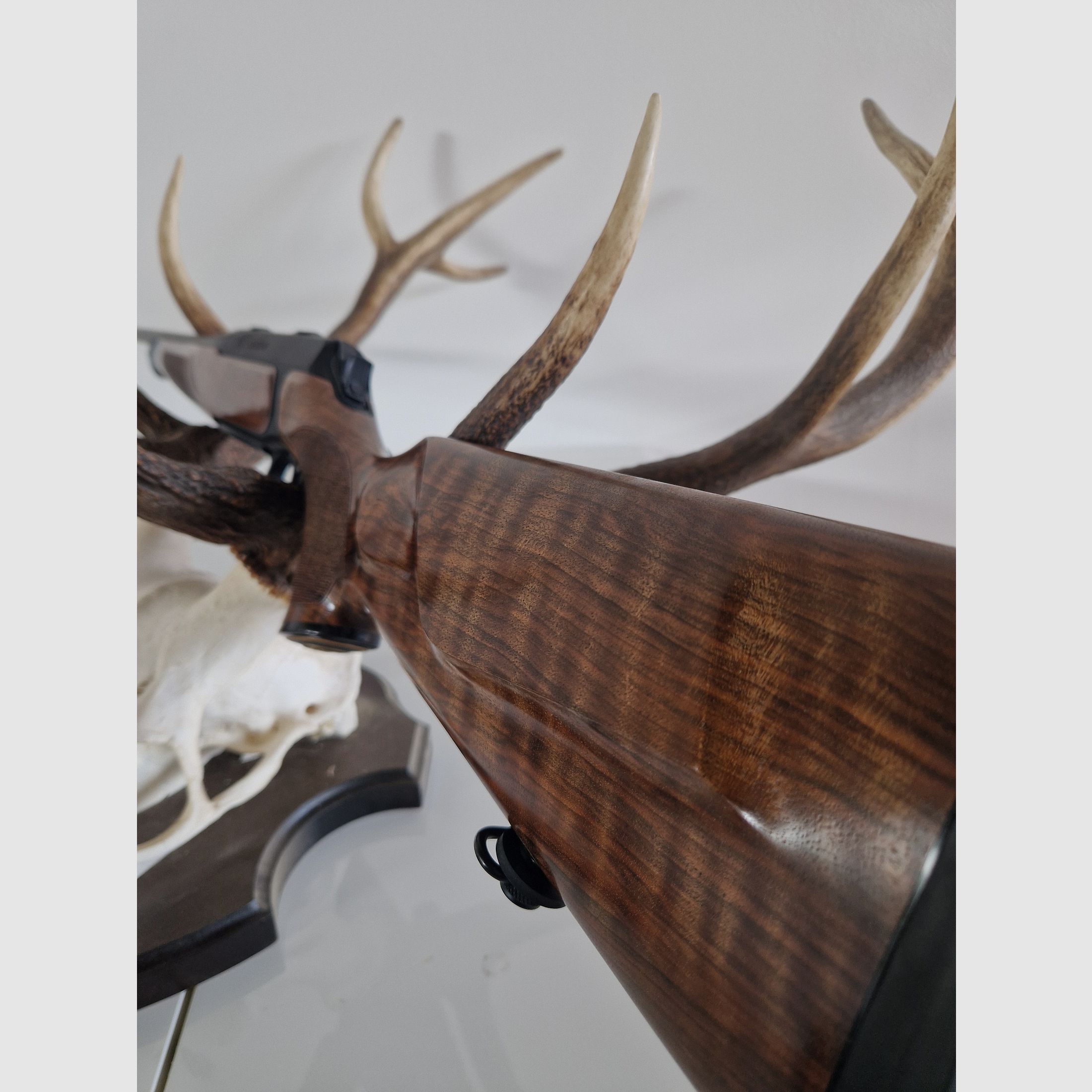 Sauer 404 Classic Deluxe .308 Win