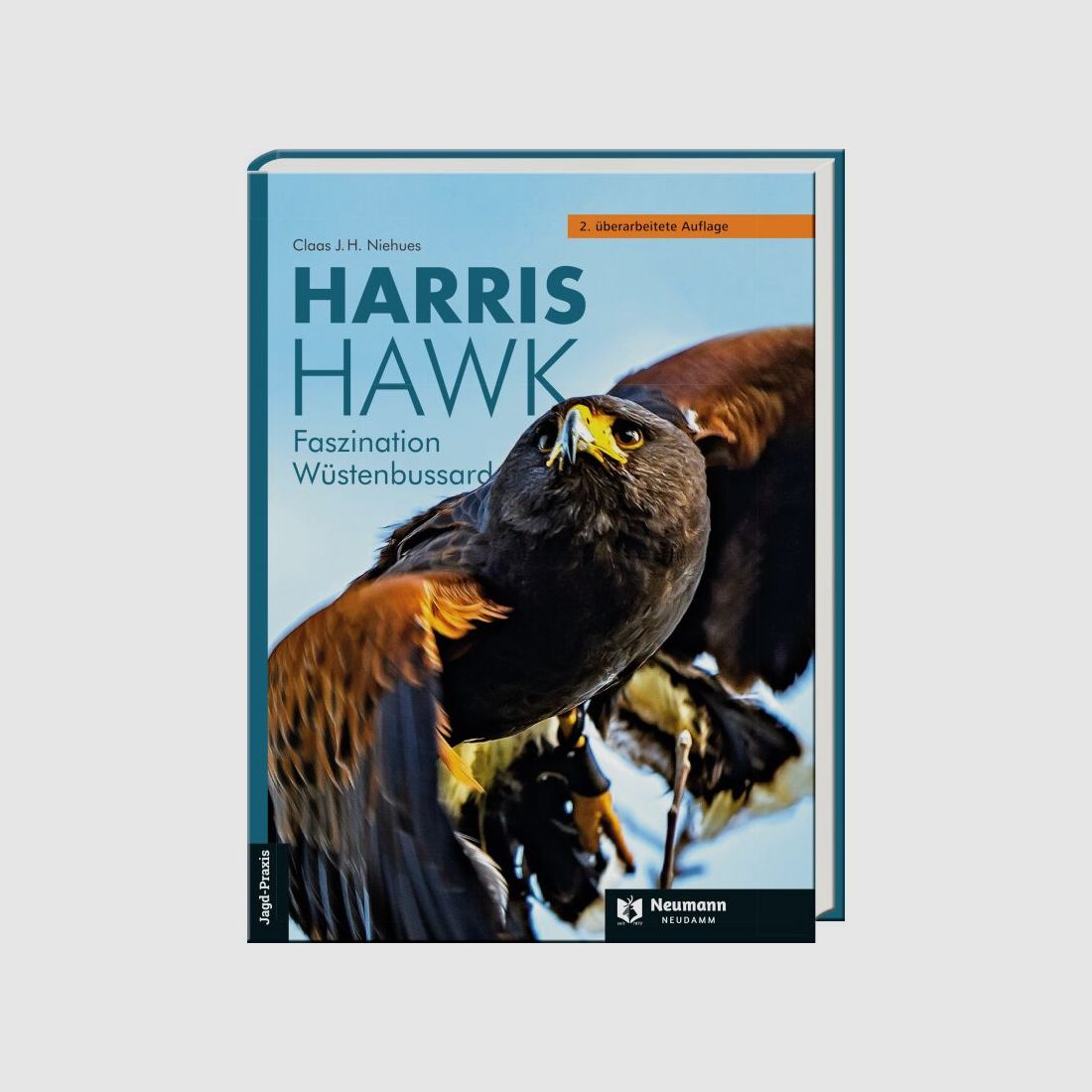 Harris Hawk - Faszination Wüstenbussard von Claas Niehues