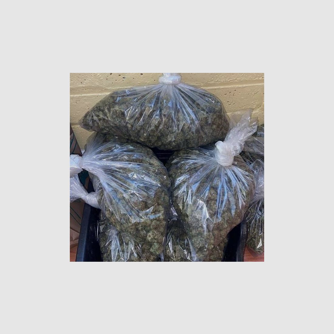 Chaud cocaïne : nous vous ferons revenir. Coca : toute la nuit, pas de banderoles. cocaïne. Gros truc Envoyez-moi un message sur Google Chat