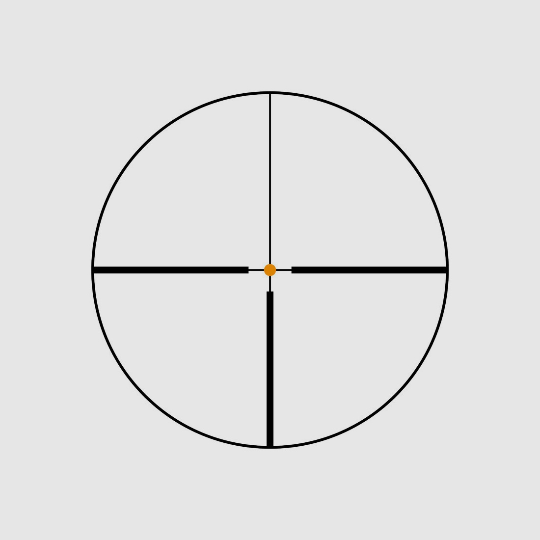 Swarovski Z6i 1-6x24 mit Schiene 