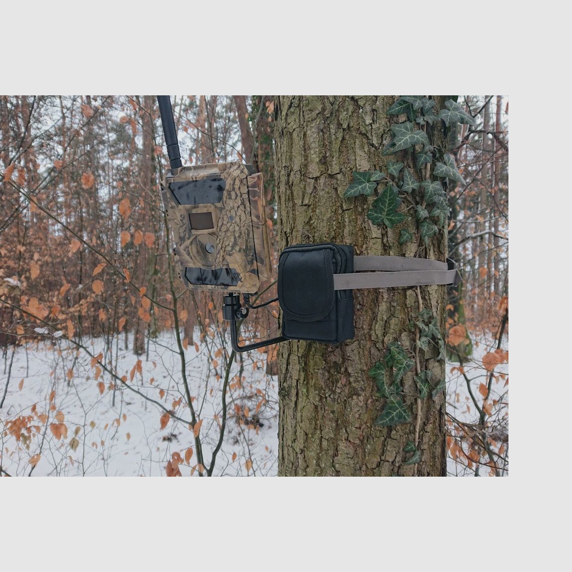 Baumschraube mit Kugelstativkopf