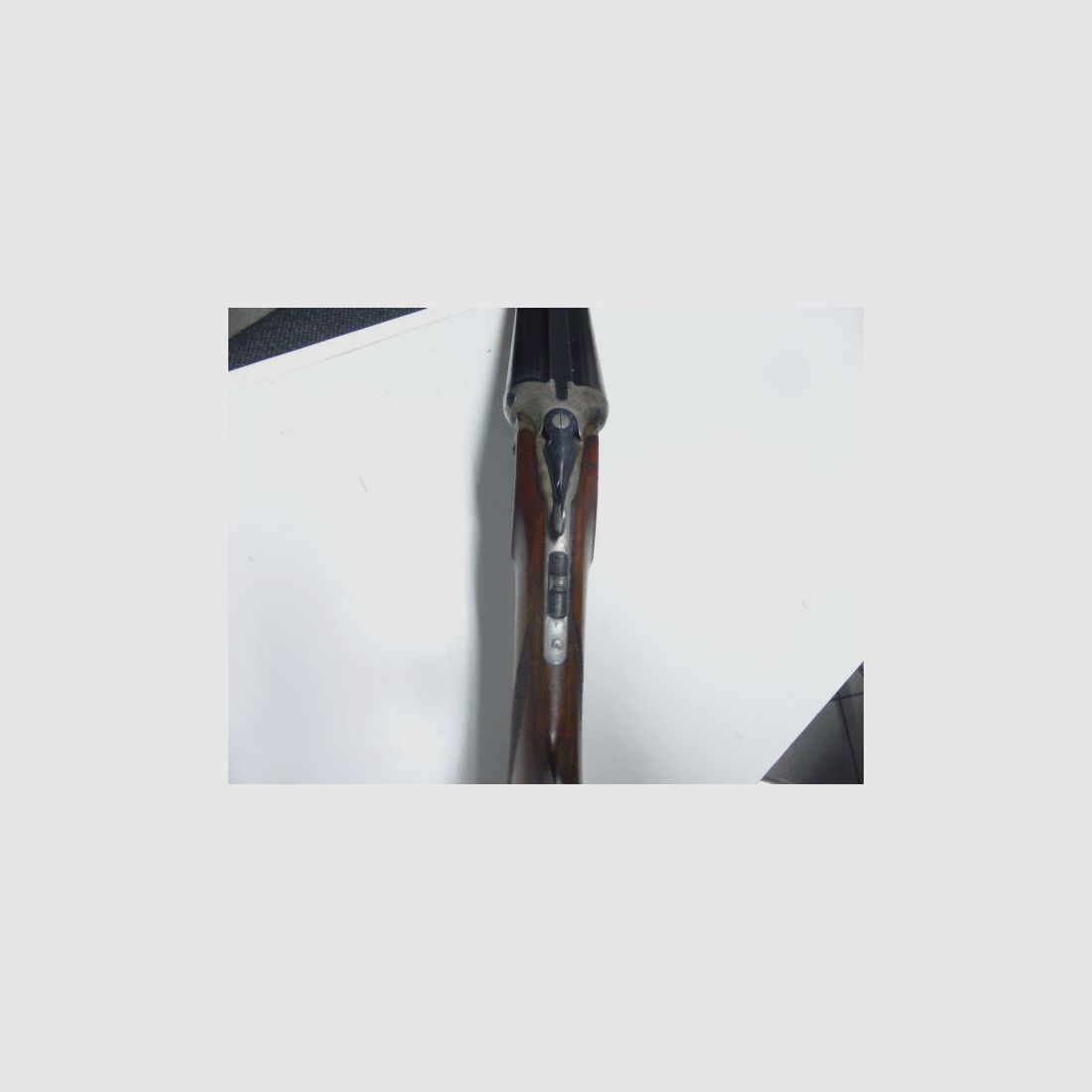 Fortuna Suhl	 Jagd