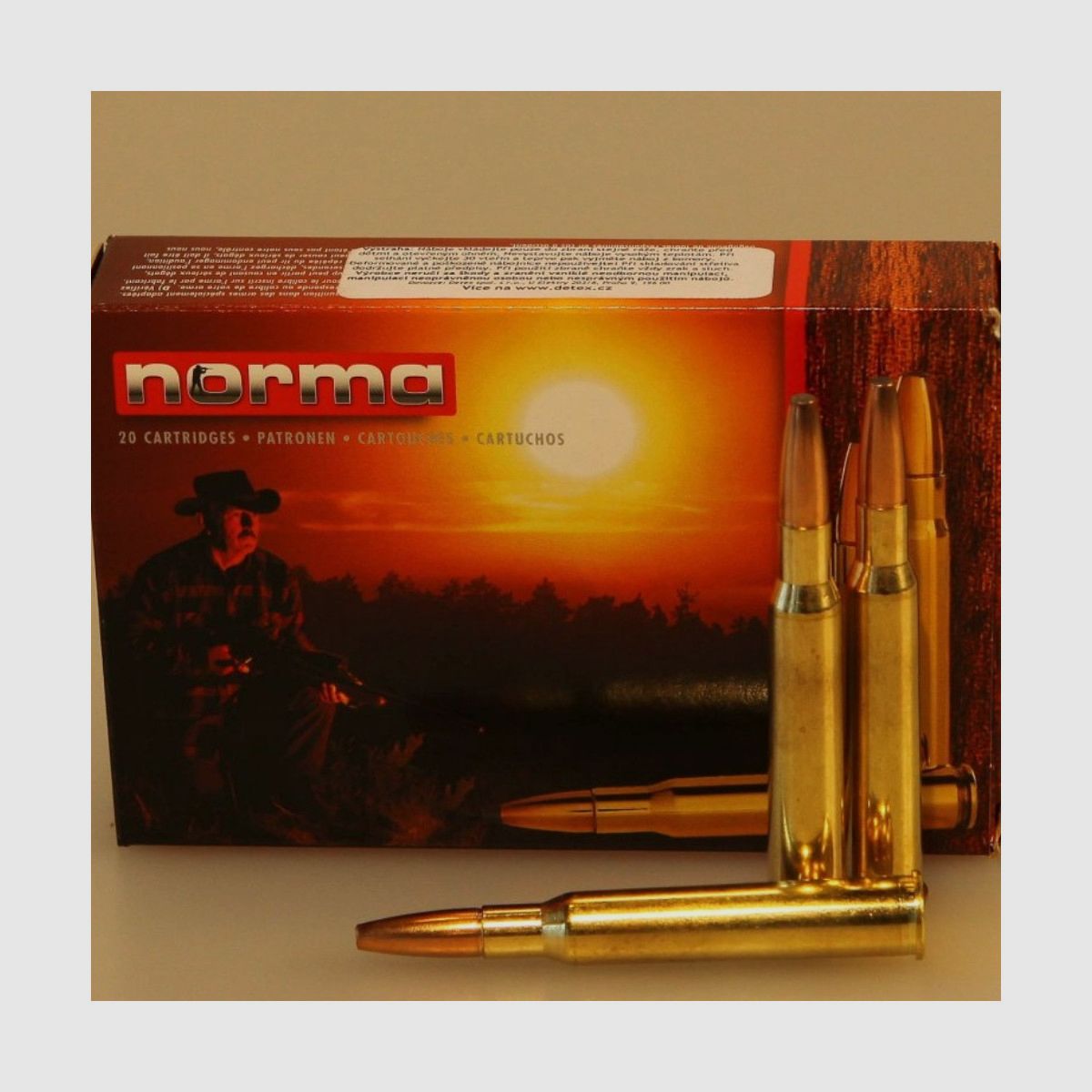 Norma 7x65R 170gr Geschosse