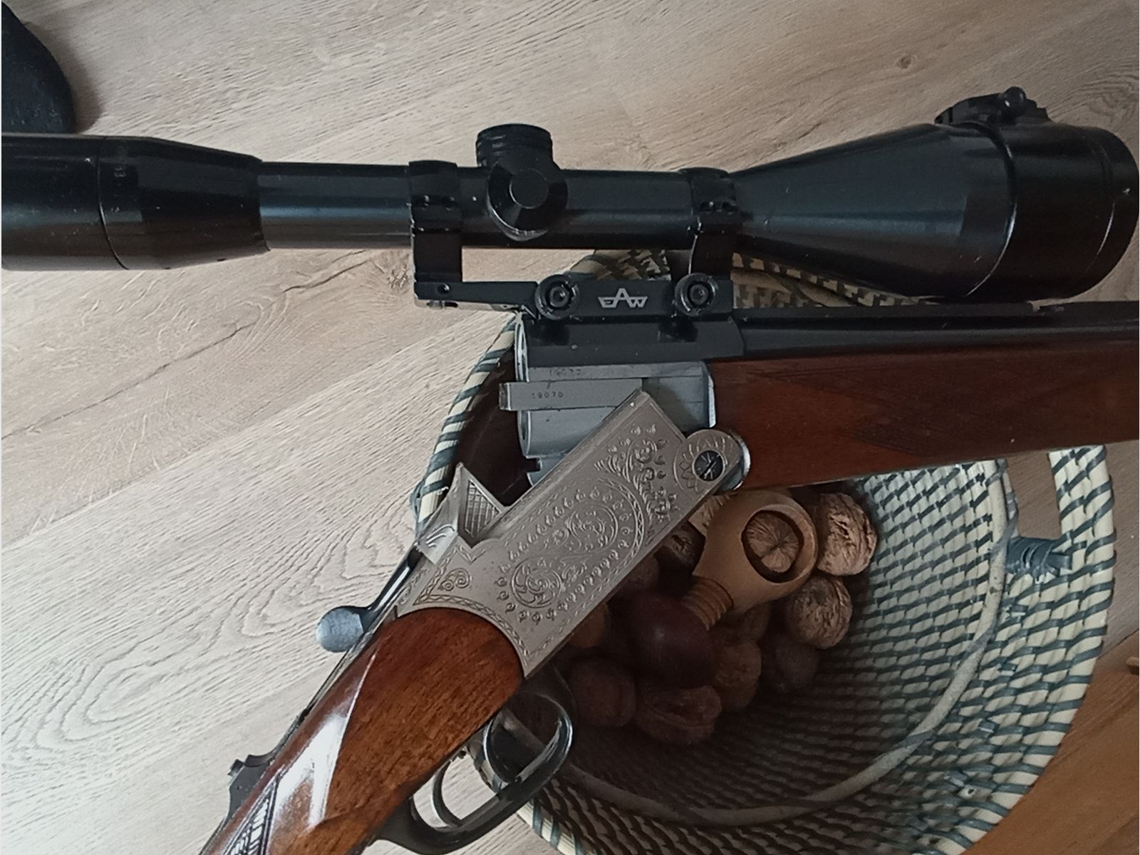 Blaser es 67